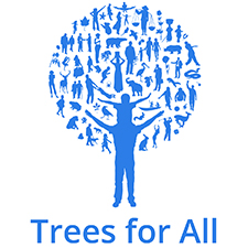 trees for all teambuilding Rotherham
